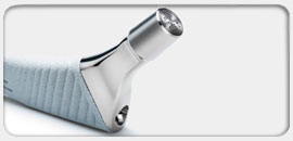Expersus Hip Stem Cementedless