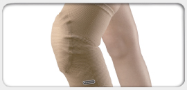 rodilla